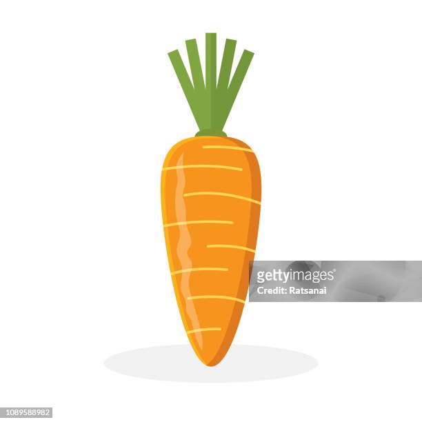 ilustrações de stock, clip art, desenhos animados e ícones de carrot - carrot