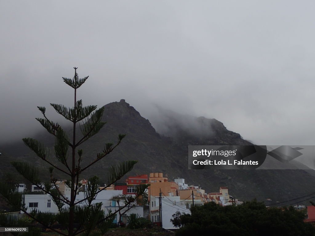 Punta del Hidalgo town