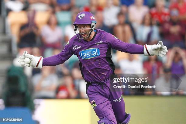 Matthew Wade of the Hurricanes celebrates after catching out Joe Denly of the Sixers during the Big Bash League match between the Hobart Hurricanes...