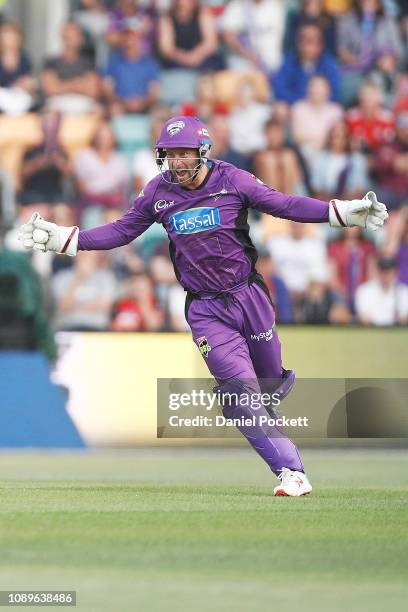 Matthew Wade of the Hurricanes celebrates after catching out Joe Denly of the Sixers during the Big Bash League match between the Hobart Hurricanes...