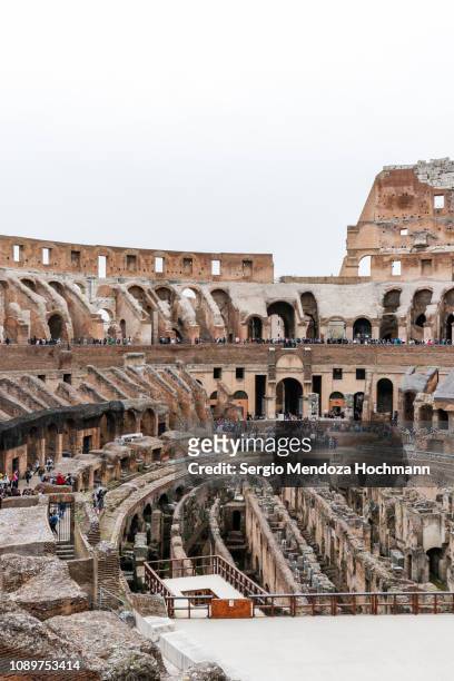 the roman colosseum in rome, italy - palatine hill stock pictures, royalty-free photos & images