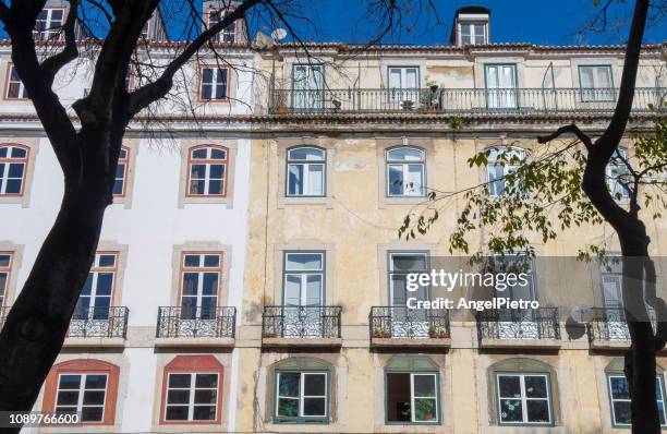 building with a network of windows framed by two trees - religious illustration stock pictures, royalty-free photos & images