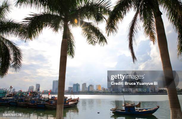 skyline of da nang - han river stock-fotos und bilder