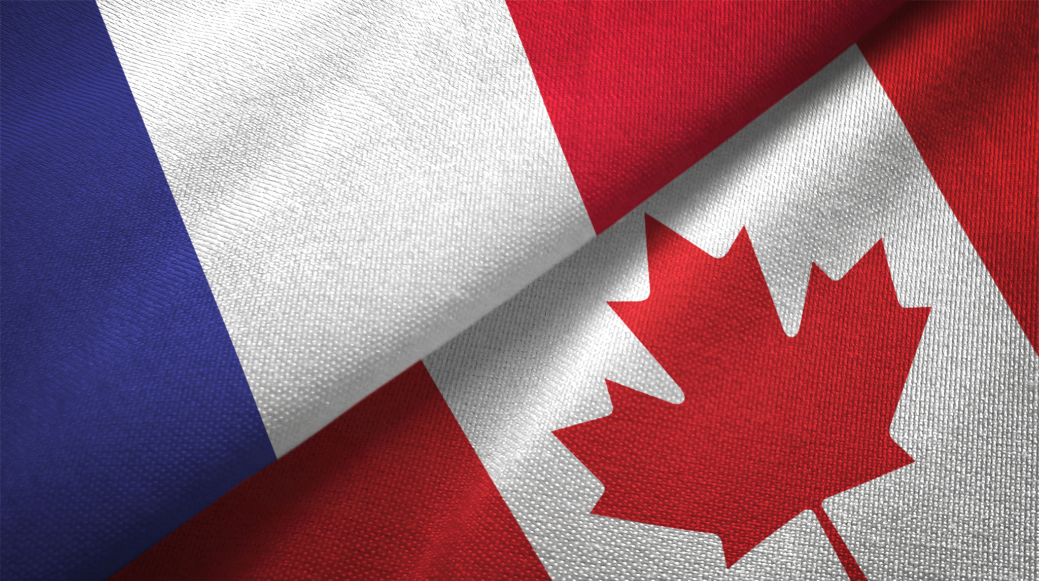 french flag