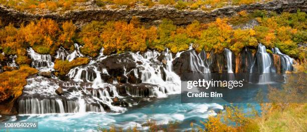 panorama of hraunfossar waterfall flowing into hvita river, borgarfjordur district, iceland - hraunfossar stock pictures, royalty-free photos & images