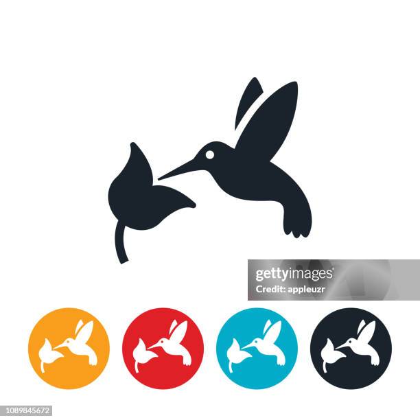 stockillustraties, clipart, cartoons en iconen met kolibrie pictogram - hummingbirds