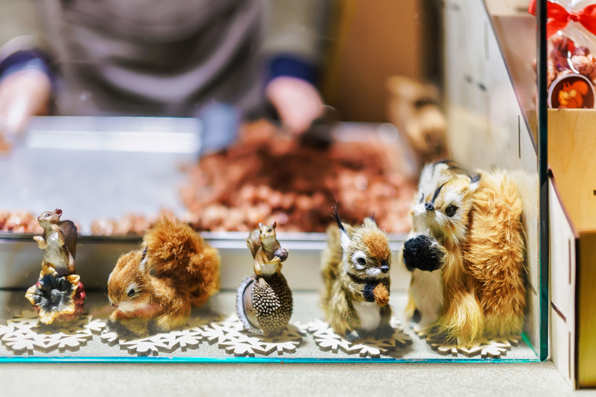 pet store Vilnius