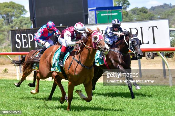 Blazen Diamond ridden by Denicious Smith wins the Sungold Milk 3YO Maiden Plate at Great Western Racecourse on January 27, 2019 in Great Western,...