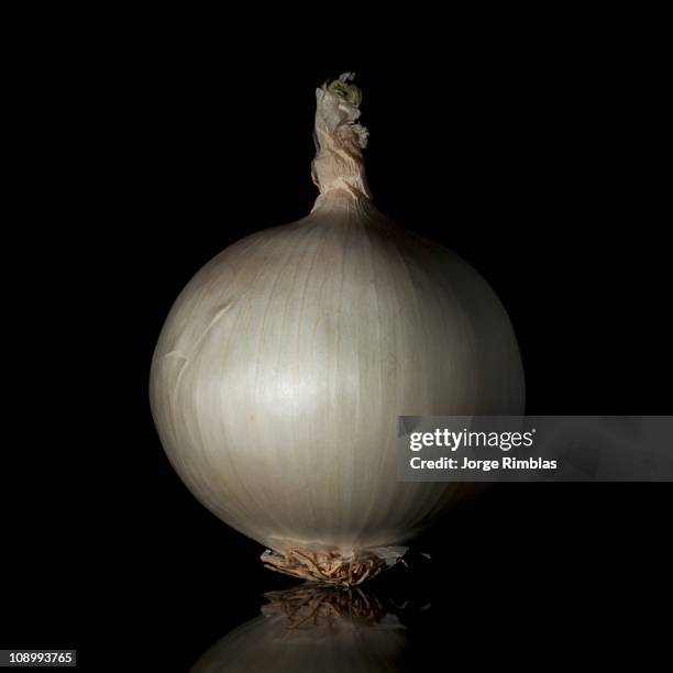 the onion - rimblas stock pictures, royalty-free photos & images