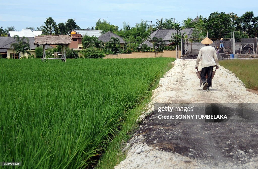 TO GO WITH LIFESTYLE-INDONESIA-BALI-TOUR