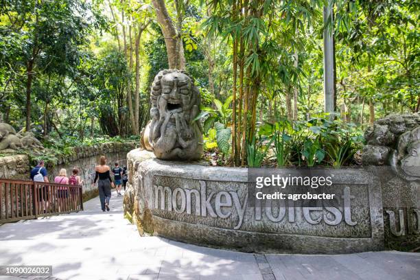 monkey forest enterance in bali, indonesia - ubud monkey forest stock pictures, royalty-free photos & images
