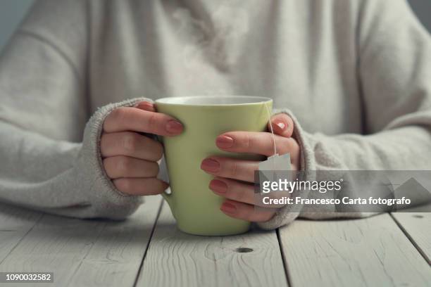 hot drink - herbal tea fotografías e imágenes de stock
