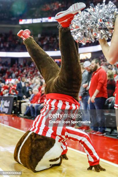 Wisconsin mascot Bucky Badger does a head stand during a college basketball game between the University of Wisconsin Badgers and the Northwestern...
