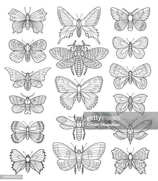 butterfly vector doodle set - draw a butterfly stock illustrations