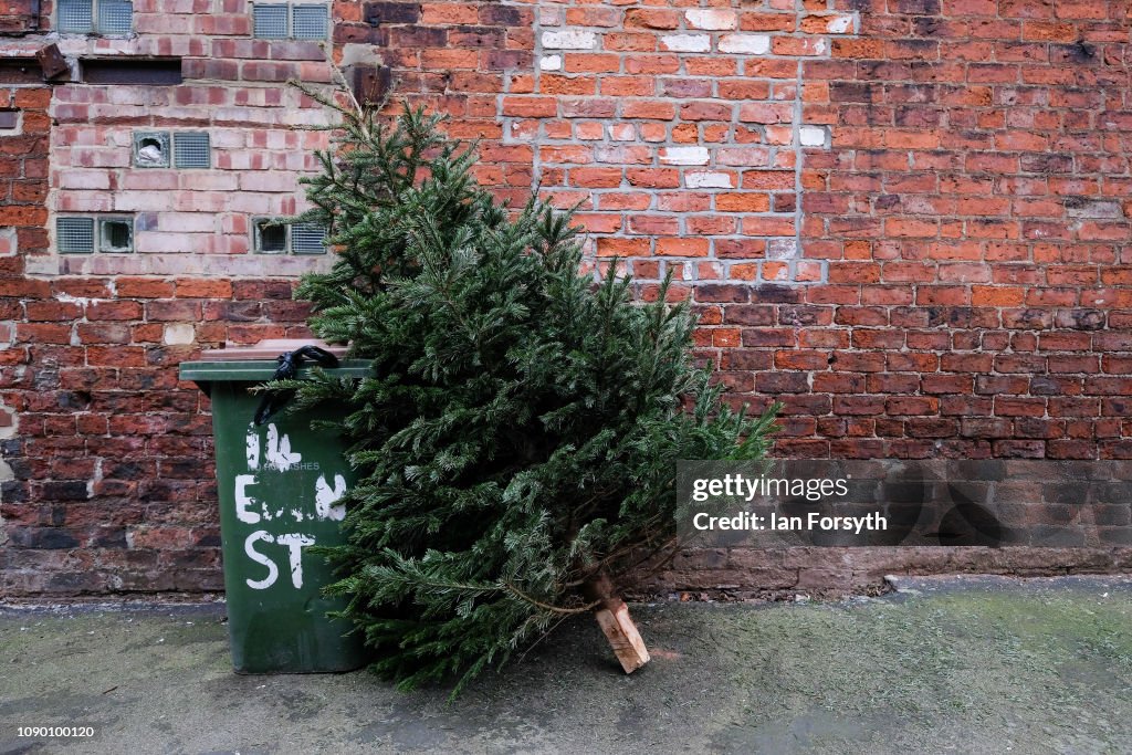 Christmas Trees And Decorations Come Down On Twelfth Night