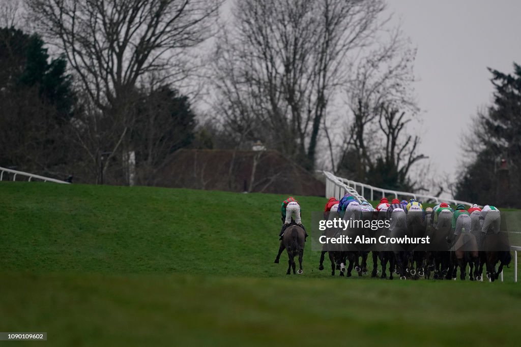 Sandown Races