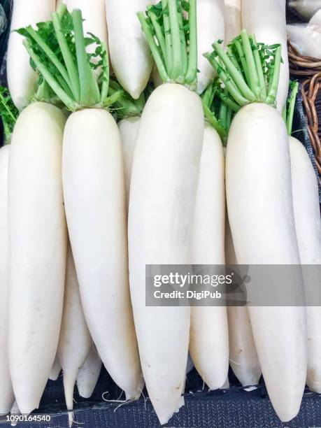 daikon radish - daikon stock pictures, royalty-free photos & images
