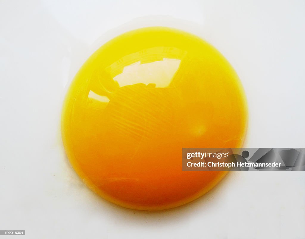 Sunny Side Up