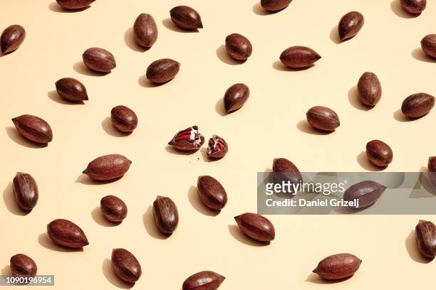 multiple pecan nuts placed in a pattern - pecan nut stock pictures, royalty-free photos & images