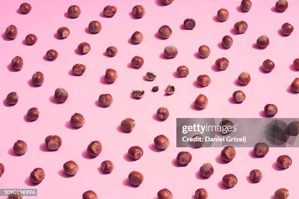 one of a kind - hazelnut pattern stock pictures, royalty-free photos & images