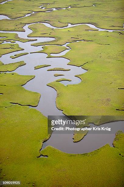 green marshlands and water pathways in lousiana - estero zona húmeda fotografías e imágenes de stock
