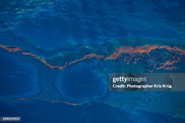 brown crude oil gathers on the surface of ocean - ölpest stock-fotos und bilder
