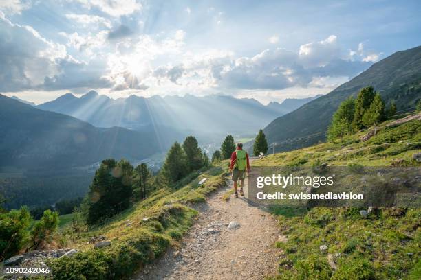 hiker male hiking down trail in beautiful nature environment in the swiss alps - swiss alps summer stock pictures, royalty-free photos & images