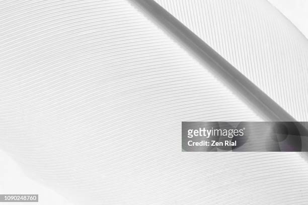 extreme close up of a single white feather - zen rial stock pictures, royalty-free photos & images