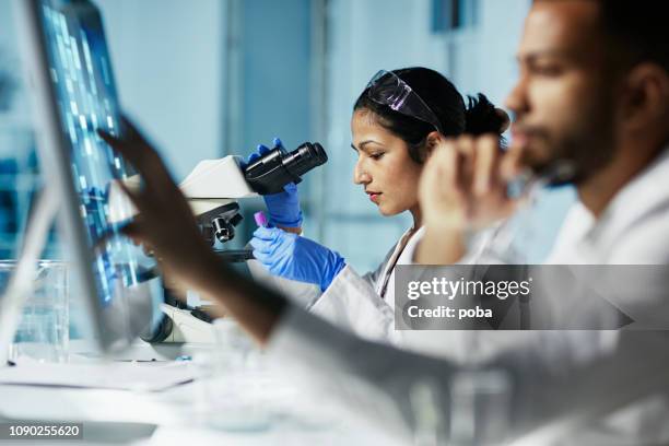 forskare som arbetar på dator i moderna laboratorium - woman scientist bildbanksfoton och bilder