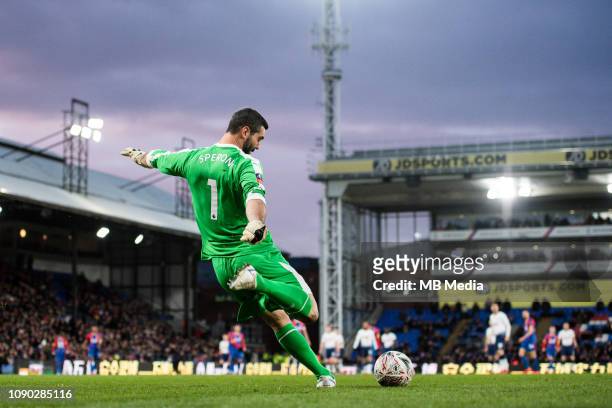 Julian Speroni of Crystal Palace during the FA Cup Fourth Round match between Crystal Palace and Tottenham Hotspur at Selhurst Park on January 27,...