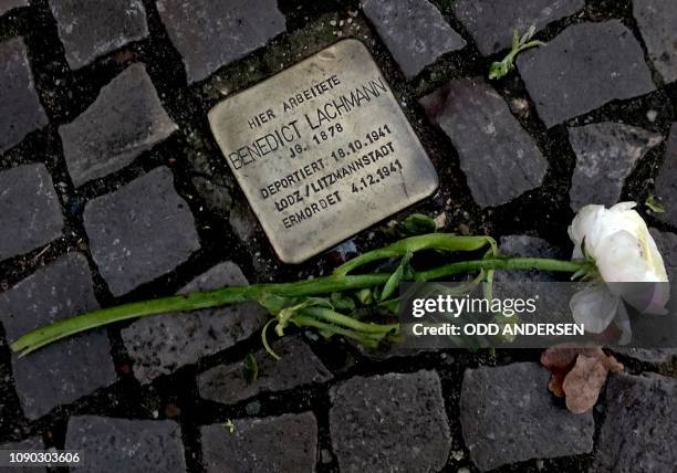 White rose has been laid next to one of the so-called Stolpersteine showing the name of Holocaust victim Benedict Lachmann in Berlin on January 27...