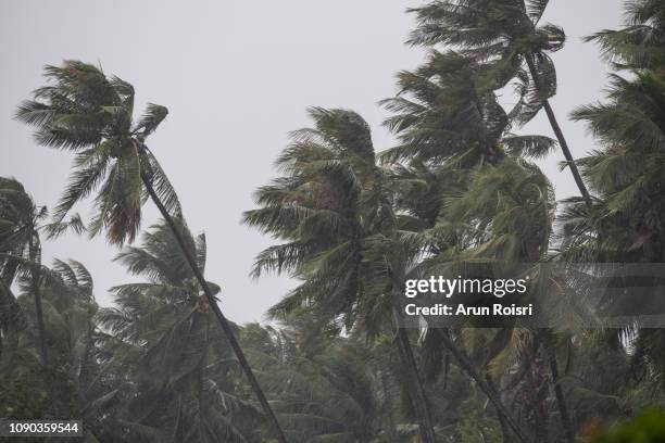 tropical storm pabuk - tyfoon stockfoto's en -beelden