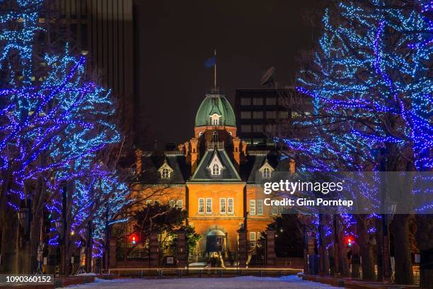 66 Sapporo White Illumination Stock Photos, High-Res Pictures, and