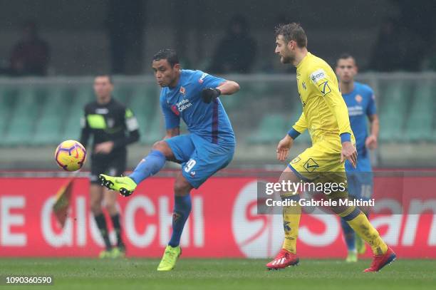 Luis Muriel of ACF Fiorentina in action during the Serie A match between Chievo Verona and ACF Fiorentina at Stadio Marc'Antonio Bentegodi on January...