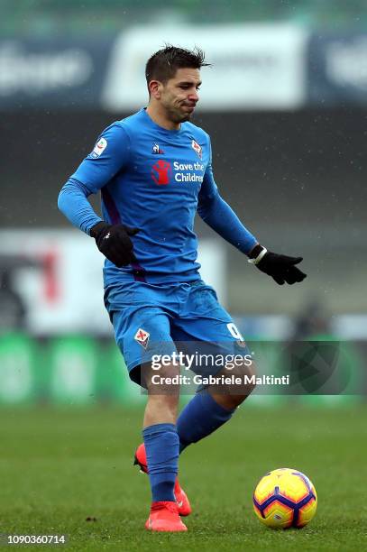 Giovanni Simeone of ACF Fiorentina in action during the Serie A match between Chievo Verona and ACF Fiorentina at Stadio Marc'Antonio Bentegodi on...