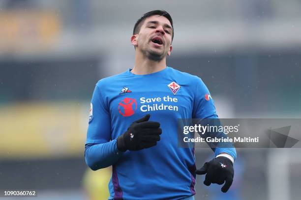 Giovanni Simeone of ACF Fiorentina reacts during the Serie A match between Chievo Verona and ACF Fiorentina at Stadio Marc'Antonio Bentegodi on...