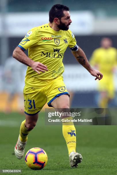 Sergio Pellisser of AC Chievo Verona in action during the Serie A match between Chievo Verona and ACF Fiorentina at Stadio Marc'Antonio Bentegodi on...