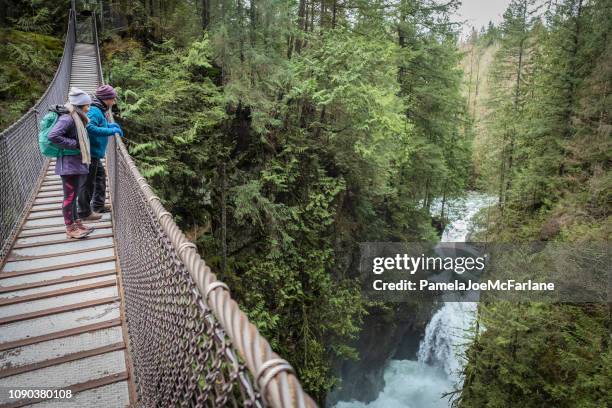 multi-ethnic father and daughter viewing canyon waterfall from suspension bridge - vancouver canada 2019 stock pictures, royalty-free photos & images