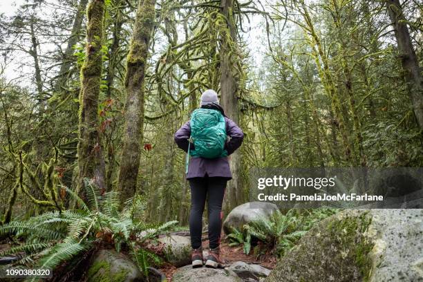 young woman hiker gazing at moss and lichen covered trees - forest bathing stock pictures, royalty-free photos & images