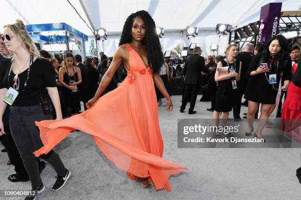 Sydelle Noel attends the 25th Annual Screen Actors Guild Awards at The Shrine Auditorium on January 27, 2019 in Los Angeles, California.