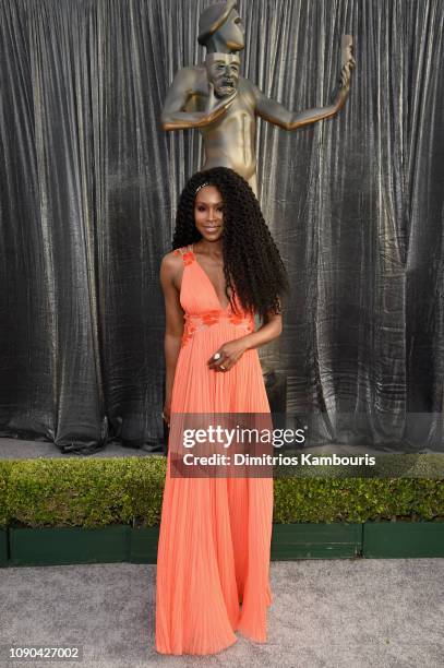Sydelle Noel attends the 25th Annual Screen Actors Guild Awards at The Shrine Auditorium on January 27, 2019 in Los Angeles, California. 480595