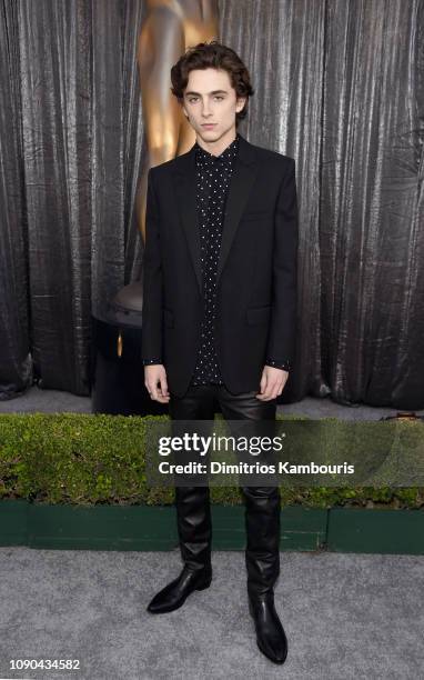 Timothée Chalamet attends the 25th Annual Screen Actors Guild Awards at The Shrine Auditorium on January 27, 2019 in Los Angeles, California. 480595