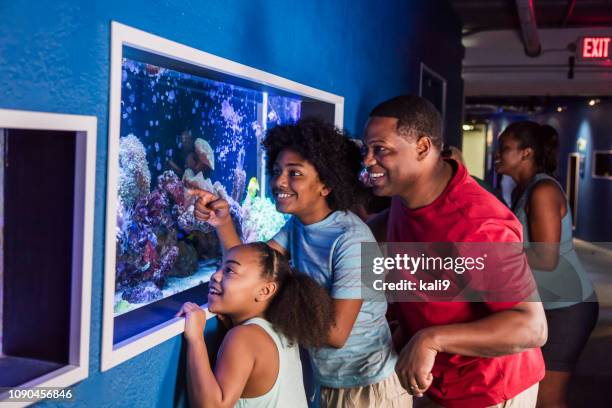 father and his two children at the aquarium - great american group stock pictures, royalty-free photos & images