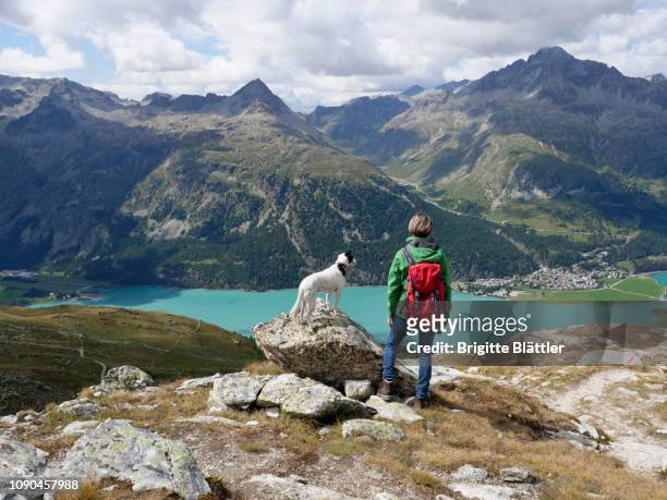 wonderlust - dog hiking stock pictures, royalty-free photos & images
