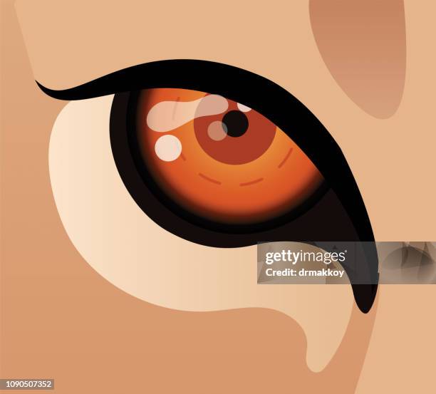 stockillustraties, clipart, cartoons en iconen met lion eye - zimbabwe