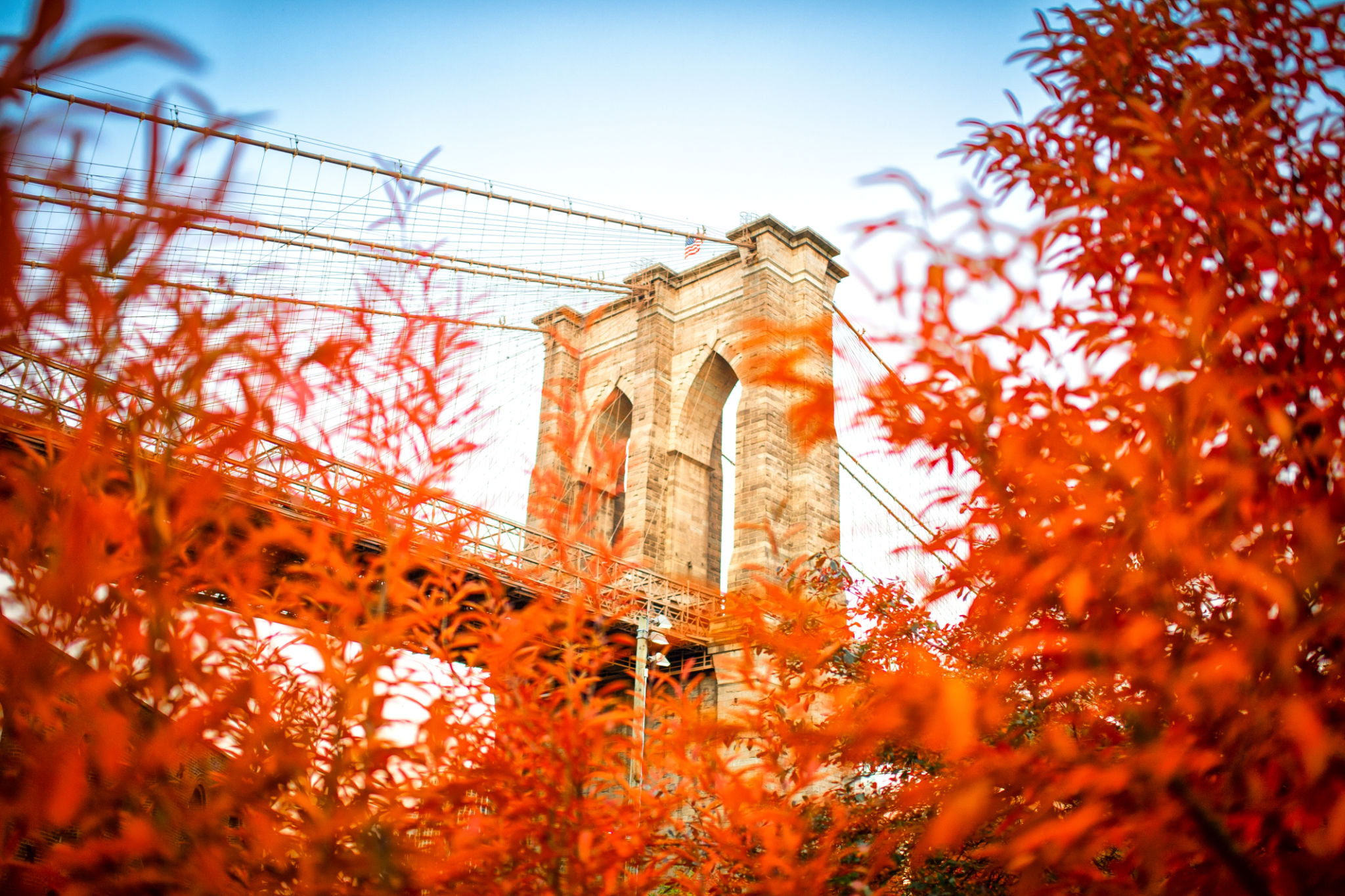 Brooklyn autumn