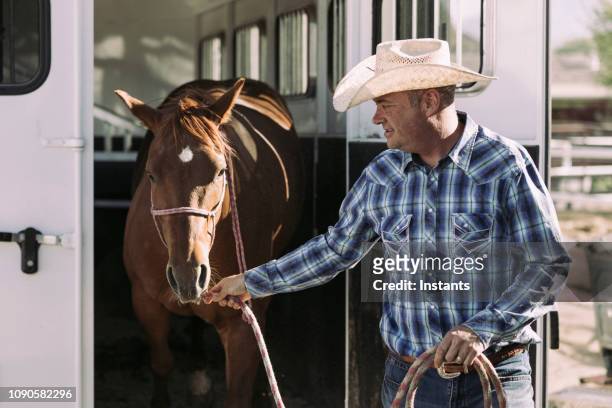 a man taking his horse out of a horse trailer. - horse trailer stock pictures, royalty-free photos & images