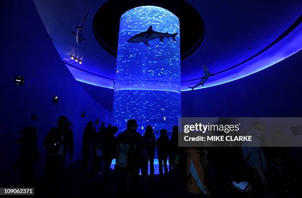 Lifestyle-entertainment-conservation-HongKong,FEATURE by Adrian AddisonThis photo taken on February 2, 2011 shows visitors looking at part of the new...