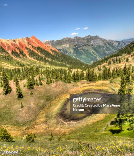 panorama of dry summer mountain view - ouray colorado stock pictures, royalty-free photos & images