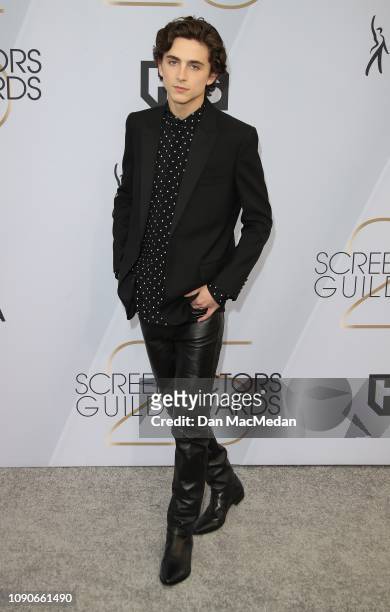 Timothee Chalamet attends the 25th Annual Screen Actors Guild Awards at The Shrine Auditorium on January 27, 2019 in Los Angeles, California.